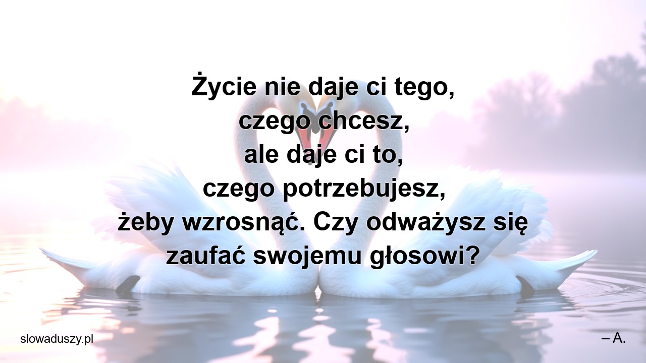 Życie nie daje ci tego,  czego chcesz,  ale daje ci to,  czego potrzebujesz,  żeby wzrosnąć. Czy odważysz się zaufać swojemu głosowi?