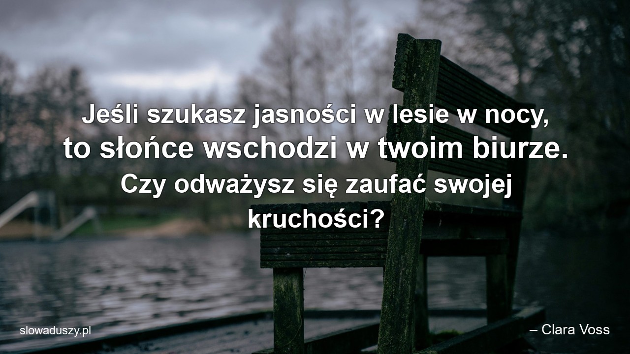 Jeśli szukasz jasności w lesie w nocy,  to słońce wschodzi w twoim biurze. Czy odważysz się zaufać swojej kruchości?