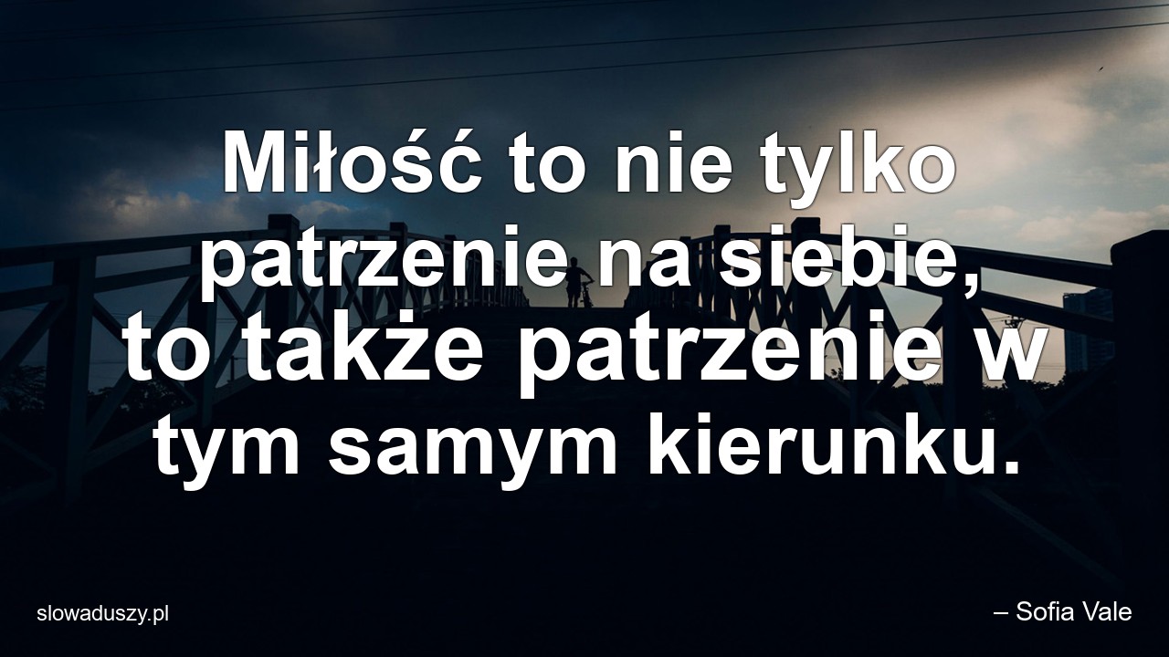 Miłość to nie tylko patrzenie na siebie,  to także patrzenie w tym samym kierunku. - – Sofia Vale
