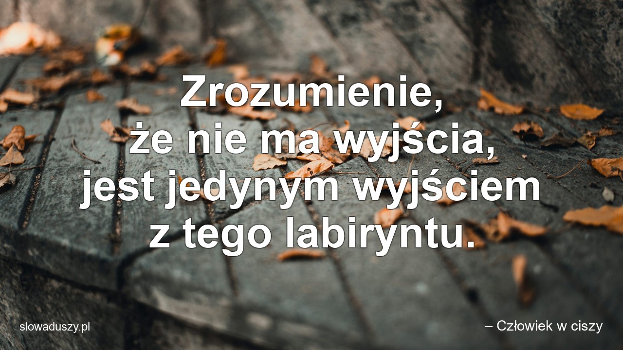 Zrozumienie,  że nie ma wyjścia,  jest jedynym wyjściem z tego labiryntu. - – Człowiek w ciszy