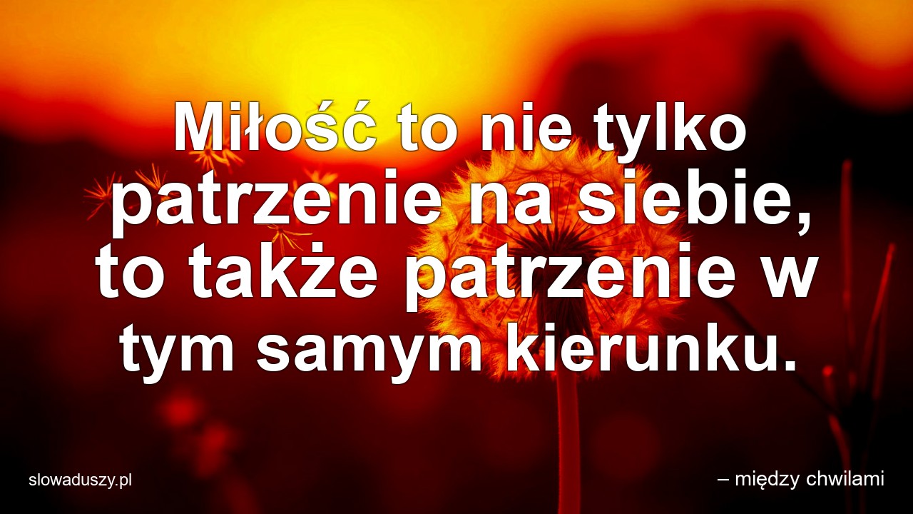 Miłość to nie tylko patrzenie na siebie,  to także patrzenie w tym samym kierunku. - – między chwilami