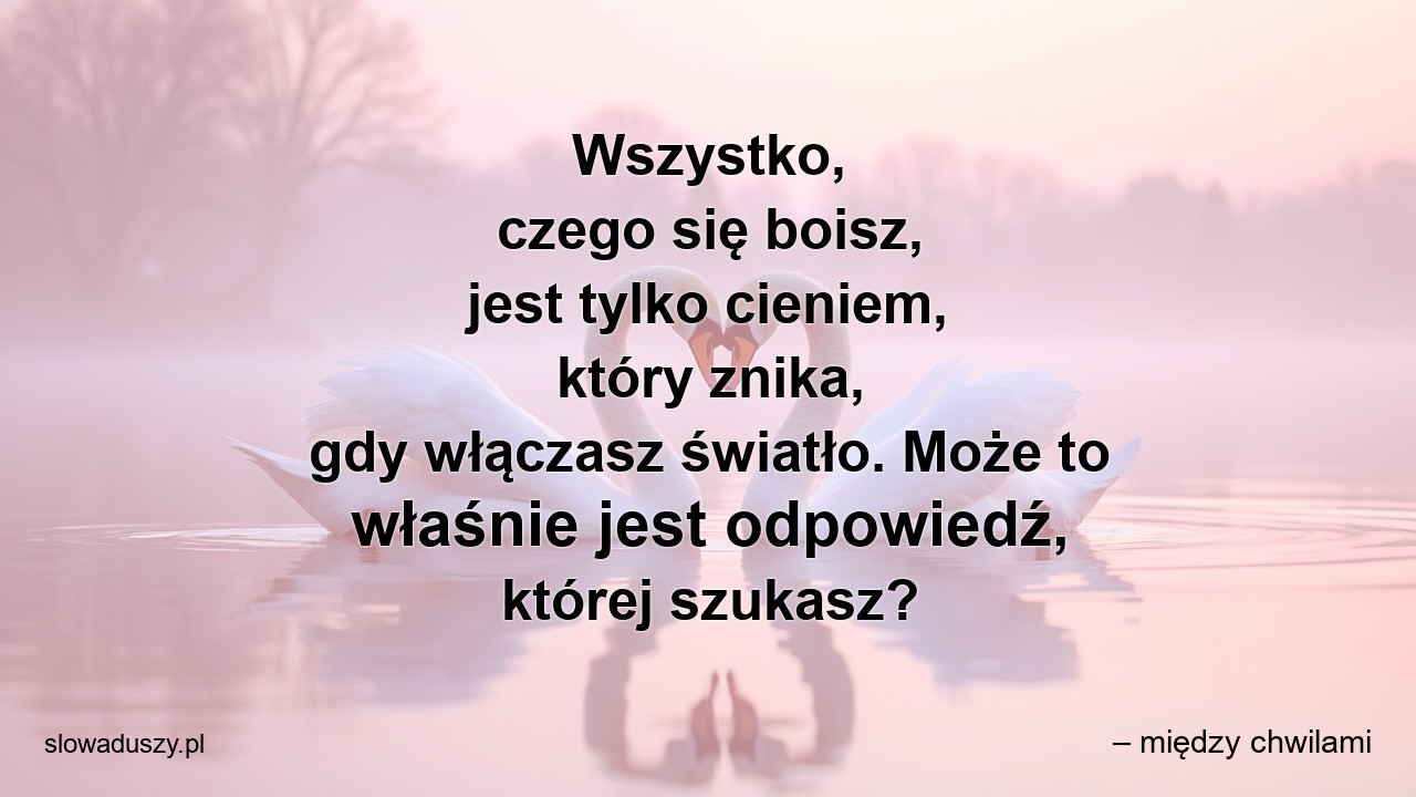 Wszystko,  czego się boisz,  jest tylko cieniem,  który znika,  gdy włączasz światło. Może to właśnie jest odpowiedź,  której szukasz? - – między chwilami