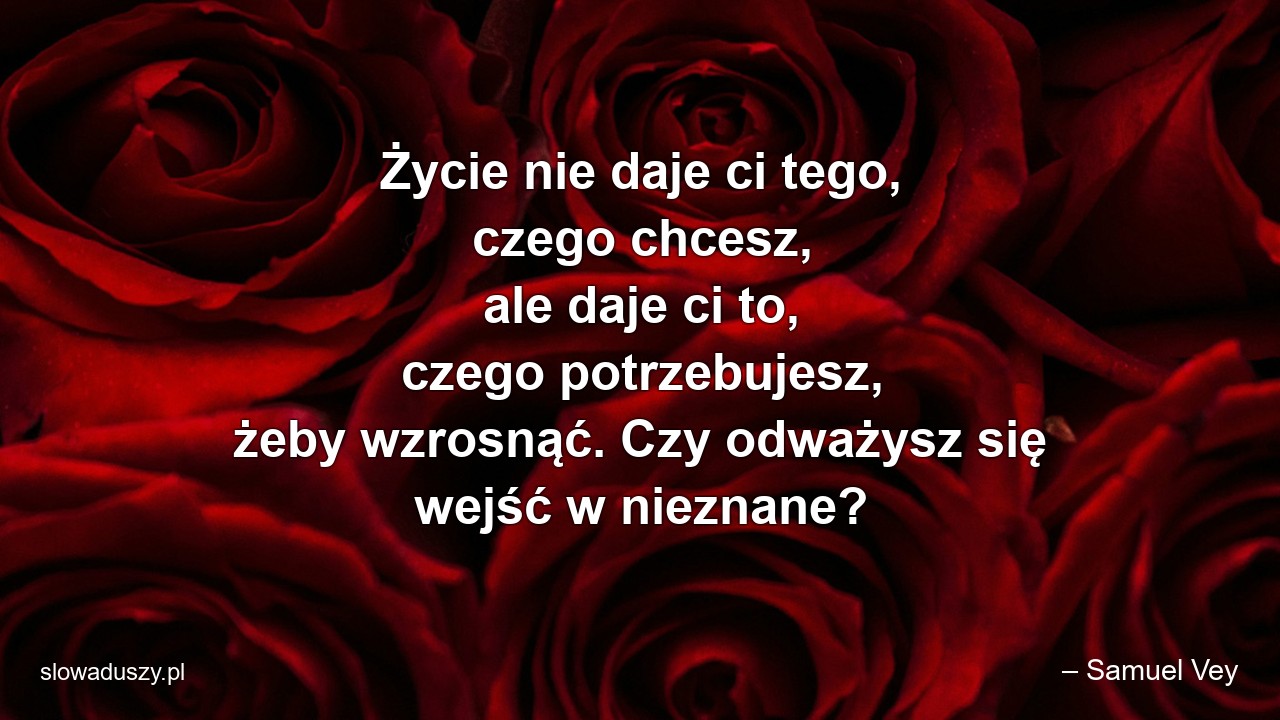 Życie nie daje ci tego,  czego chcesz,  ale daje ci to,  czego potrzebujesz,  żeby wzrosnąć. Czy odważysz się wejść w nieznane?