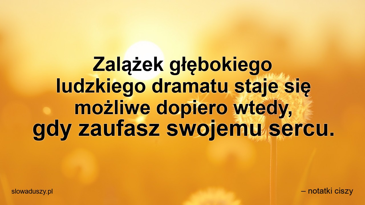 Zalążek głębokiego ludzkiego dramatu staje się możliwe dopiero wtedy,  gdy zaufasz swojemu sercu. - – notatki ciszy