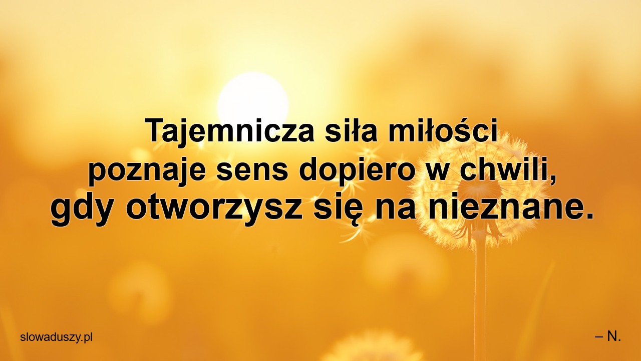 Tajemnicza siła miłości poznaje sens dopiero w chwili,  gdy otworzysz się na nieznane. - – N.