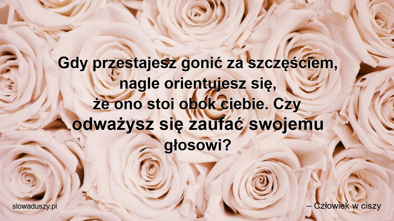 Gdy przestajesz gonić za szczęściem,  nagle orientujesz się,  że ono stoi obok ciebie. Czy odważysz się zaufać swojemu głosowi? - – Człowiek w ciszy