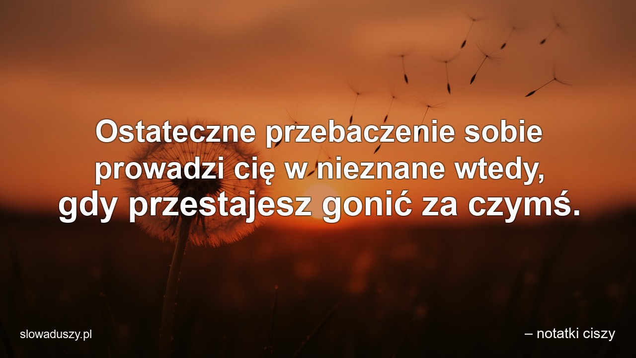 Ostateczne przebaczenie sobie prowadzi cię w nieznane wtedy,  gdy przestajesz gonić za czymś. - – notatki ciszy