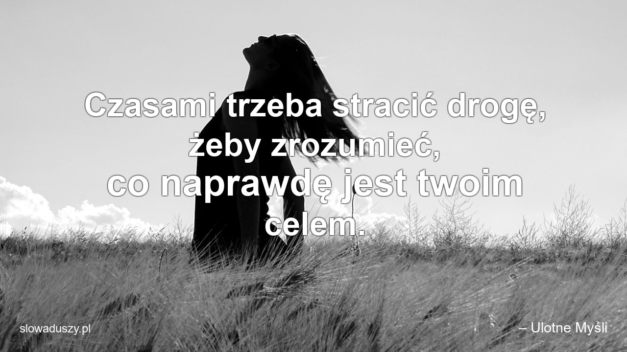 Czasami trzeba stracić drogę,  żeby zrozumieć,  co naprawdę jest twoim celem. - – Ulotne Myśli