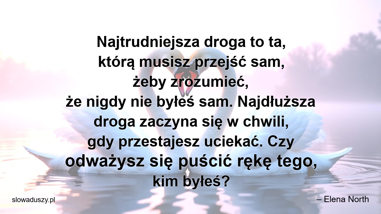 Najtrudniejsza droga to ta,  którą musisz przejść sam,  żeby zrozumieć,  że nigdy nie byłeś sam. Najdłuższa droga zaczyna się w chwili,  gdy przestajesz uciekać. Czy odważysz się puścić rękę tego,  kim byłeś?