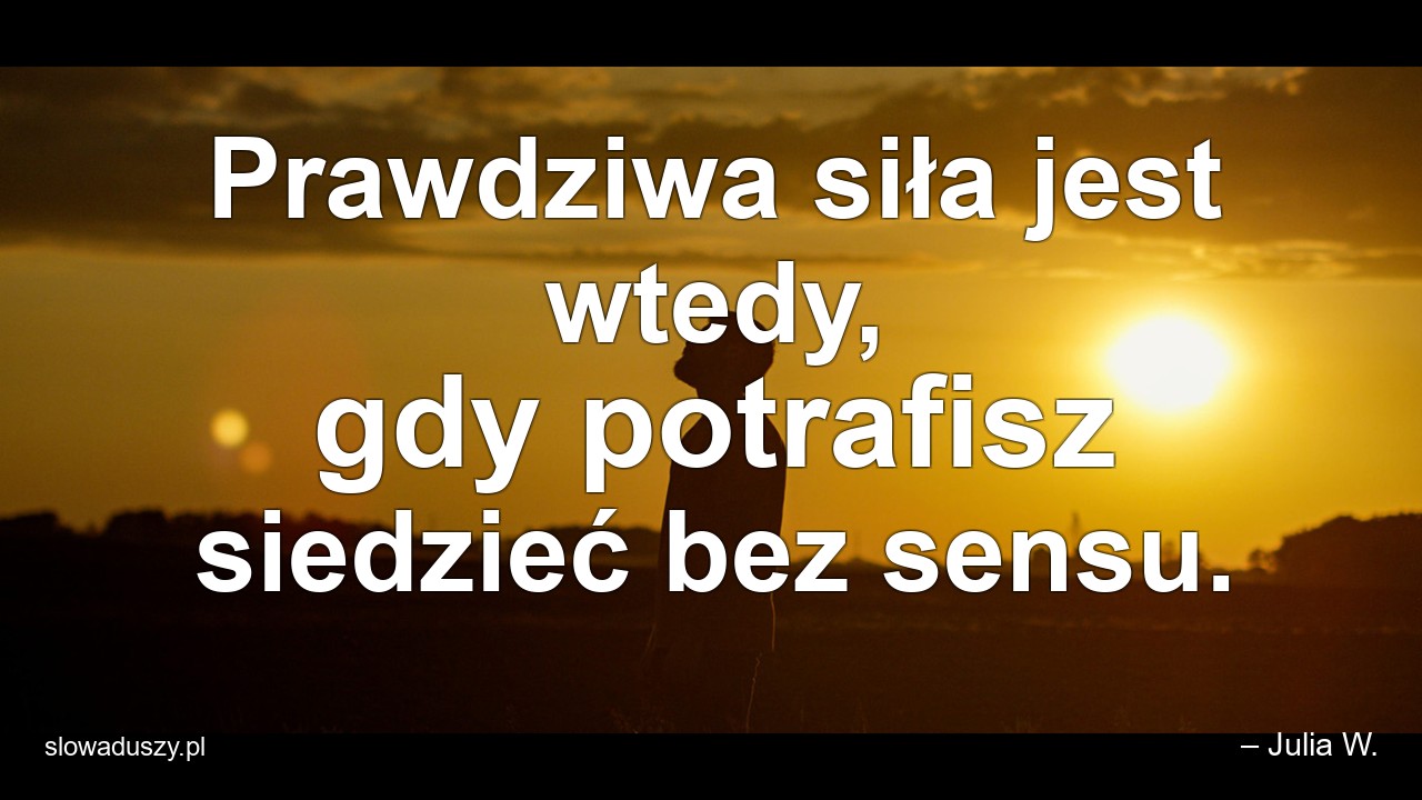 Prawdziwa siła jest wtedy,  gdy potrafisz siedzieć bez sensu.