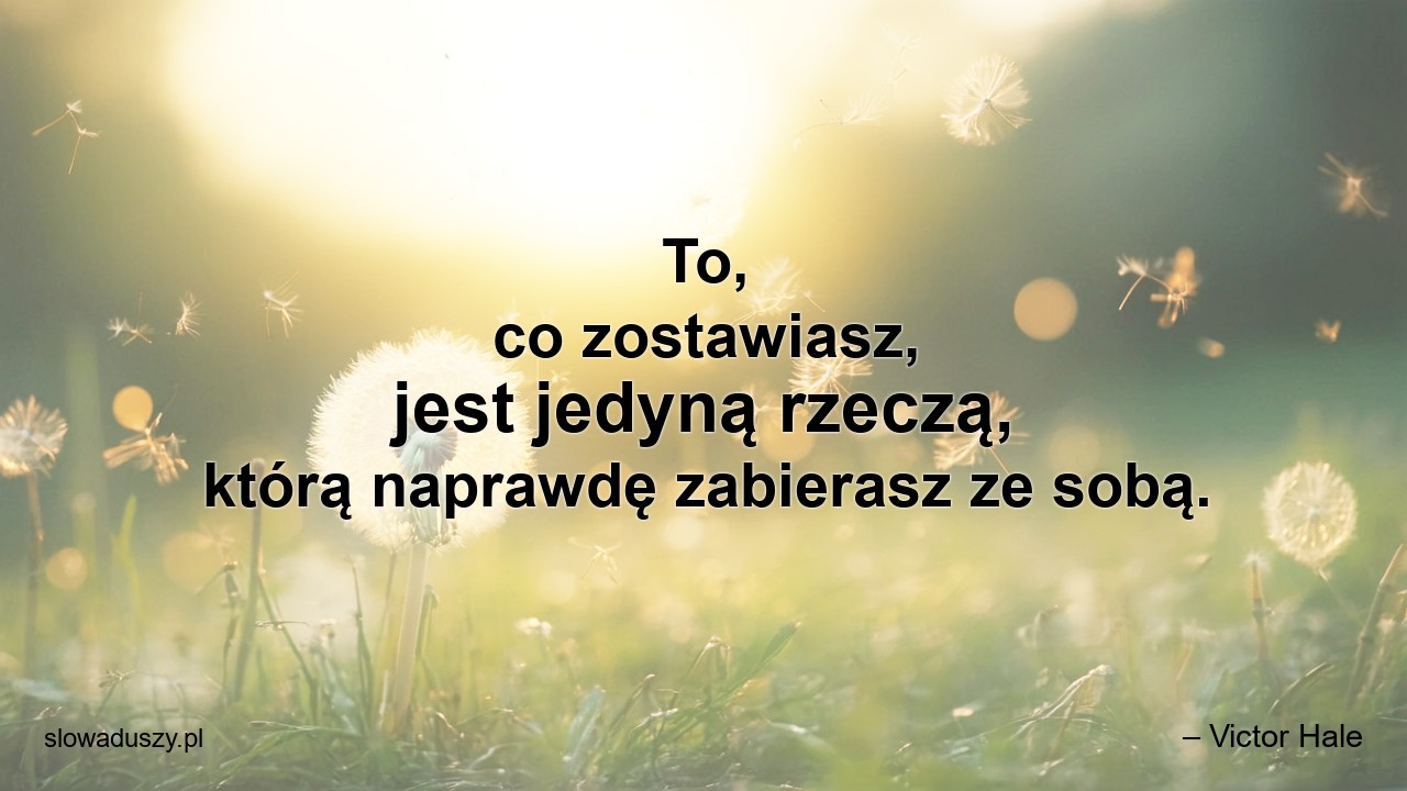 To,  co zostawiasz,  jest jedyną rzeczą,  którą naprawdę zabierasz ze sobą. - – Victor Hale
