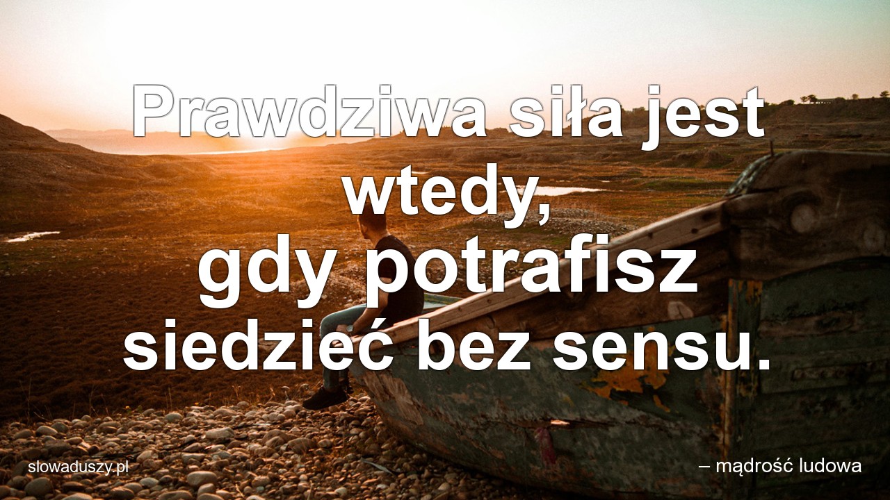 Prawdziwa siła jest wtedy,  gdy potrafisz siedzieć bez sensu. - – mądrość ludowa