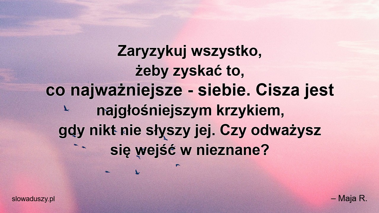Zaryzykuj wszystko,  żeby zyskać to,  co najważniejsze - siebie. Cisza jest najgłośniejszym krzykiem,  gdy nikt nie słyszy jej. Czy odważysz się wejść w nieznane? - – Maja R.