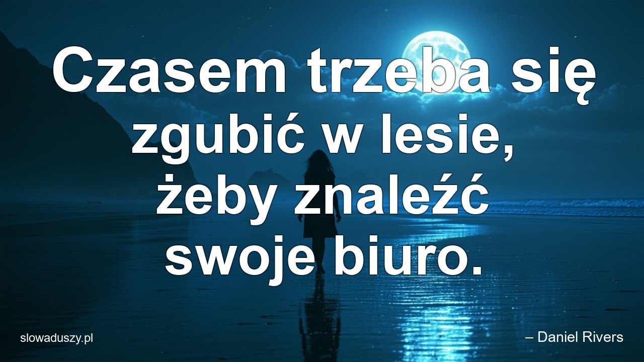 Czasem trzeba się zgubić w lesie,  żeby znaleźć swoje biuro.