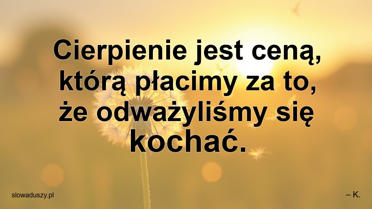 Cierpienie jest ceną,  którą płacimy za to,  że odważyliśmy się kochać. - – K.