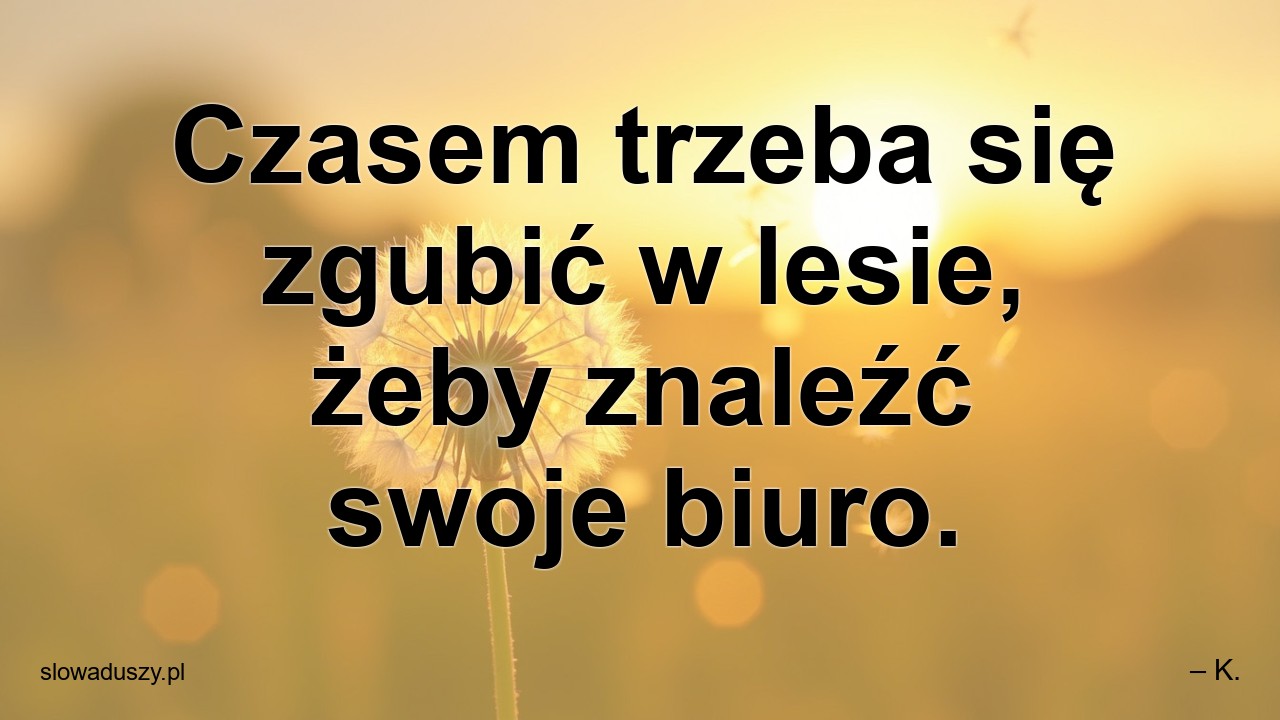 Czasem trzeba się zgubić w lesie,  żeby znaleźć swoje biuro. - – K.