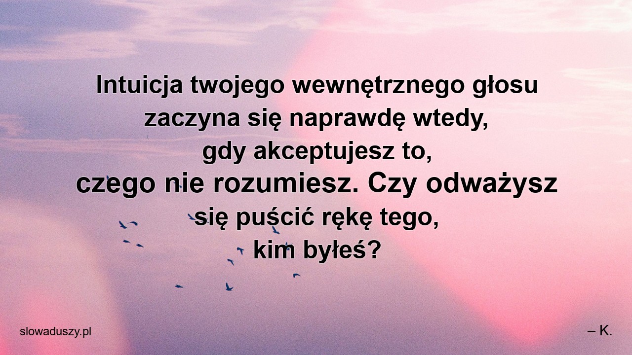 Intuicja twojego wewnętrznego głosu zaczyna się naprawdę wtedy,  gdy akceptujesz to,  czego nie rozumiesz. Czy odważysz się puścić rękę tego,  kim byłeś? - – K.
