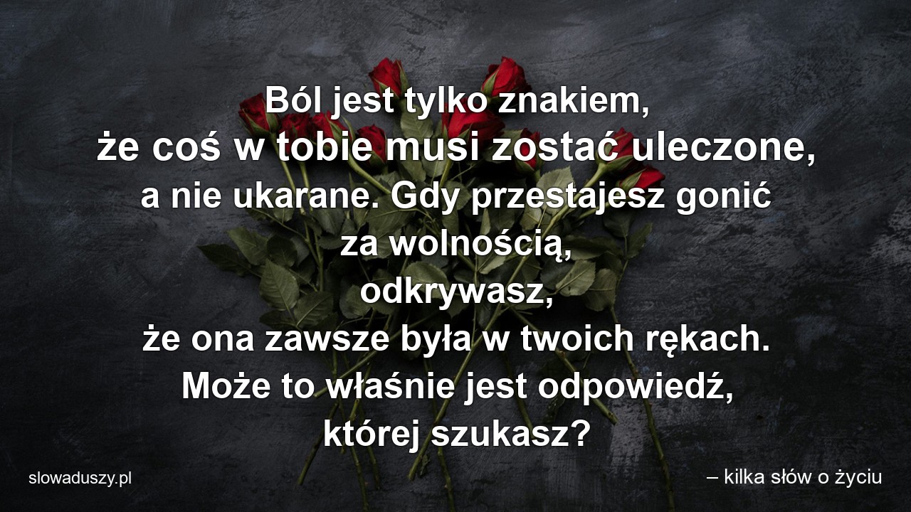 Ból jest tylko znakiem,  że coś w tobie musi zostać uleczone,  a nie ukarane. Gdy przestajesz gonić za wolnością,  odkrywasz,  że ona zawsze była w twoich rękach. Może to właśnie jest odpowiedź,  której szukasz? - – kilka słów o życiu