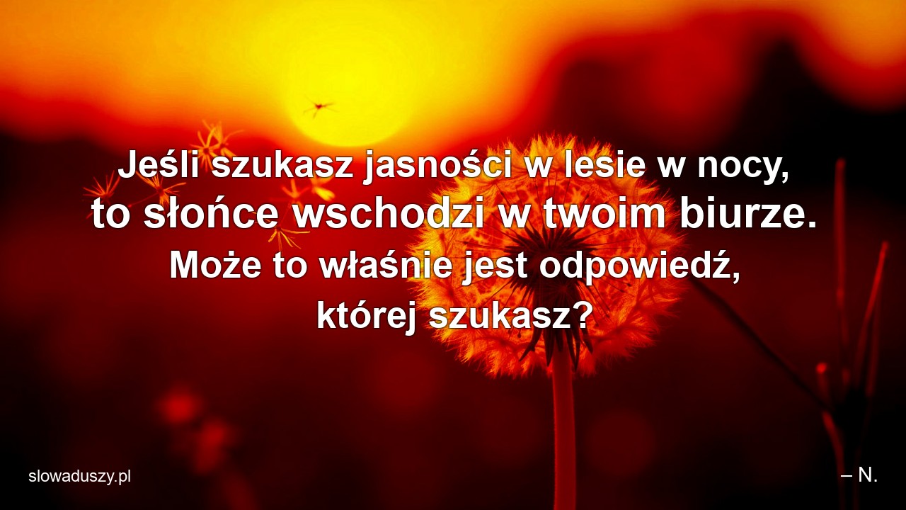 Jeśli szukasz jasności w lesie w nocy,  to słońce wschodzi w twoim biurze. Może to właśnie jest odpowiedź,  której szukasz?