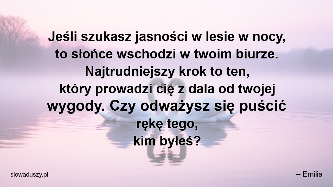 Jeśli szukasz jasności w lesie w nocy,  to słońce wschodzi w twoim biurze. Najtrudniejszy krok to ten,  który prowadzi cię z dala od twojej wygody. Czy odważysz się puścić rękę tego,  kim byłeś?
