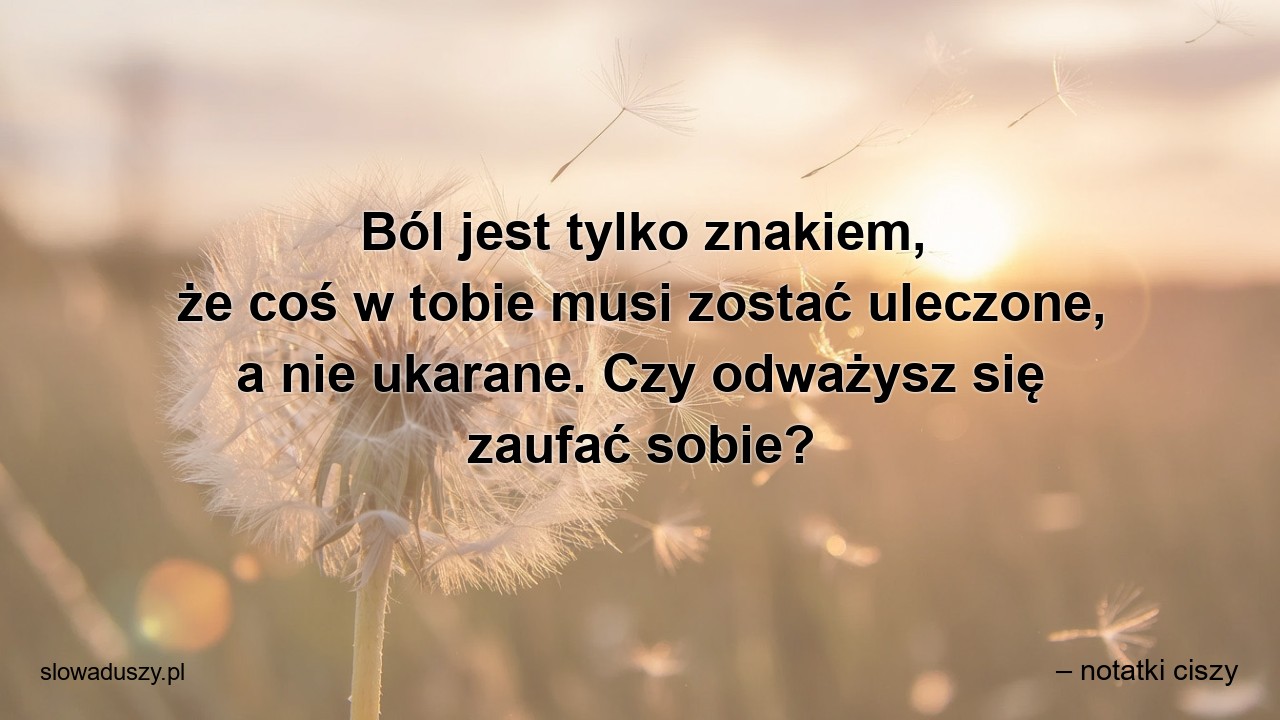 Ból jest tylko znakiem,  że coś w tobie musi zostać uleczone,  a nie ukarane. Czy odważysz się zaufać sobie?