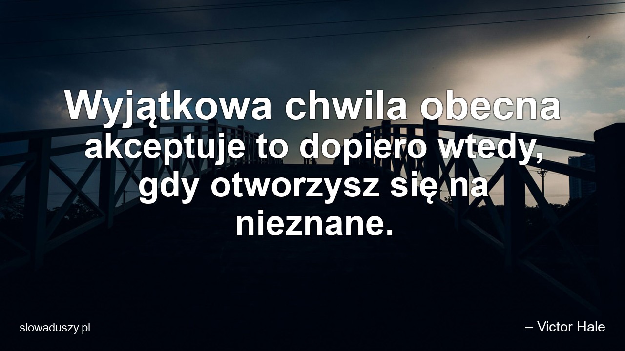 Wyjątkowa chwila obecna akceptuje to dopiero wtedy,  gdy otworzysz się na nieznane. - – Victor Hale