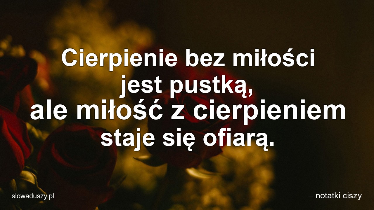 Cierpienie bez miłości jest pustką,  ale miłość z cierpieniem staje się ofiarą. - – notatki ciszy