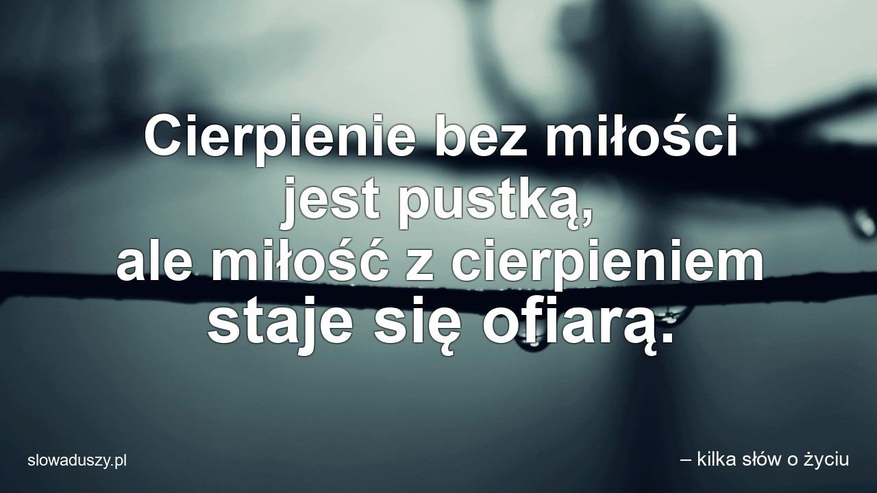 Cierpienie bez miłości jest pustką,  ale miłość z cierpieniem staje się ofiarą. - – kilka słów o życiu