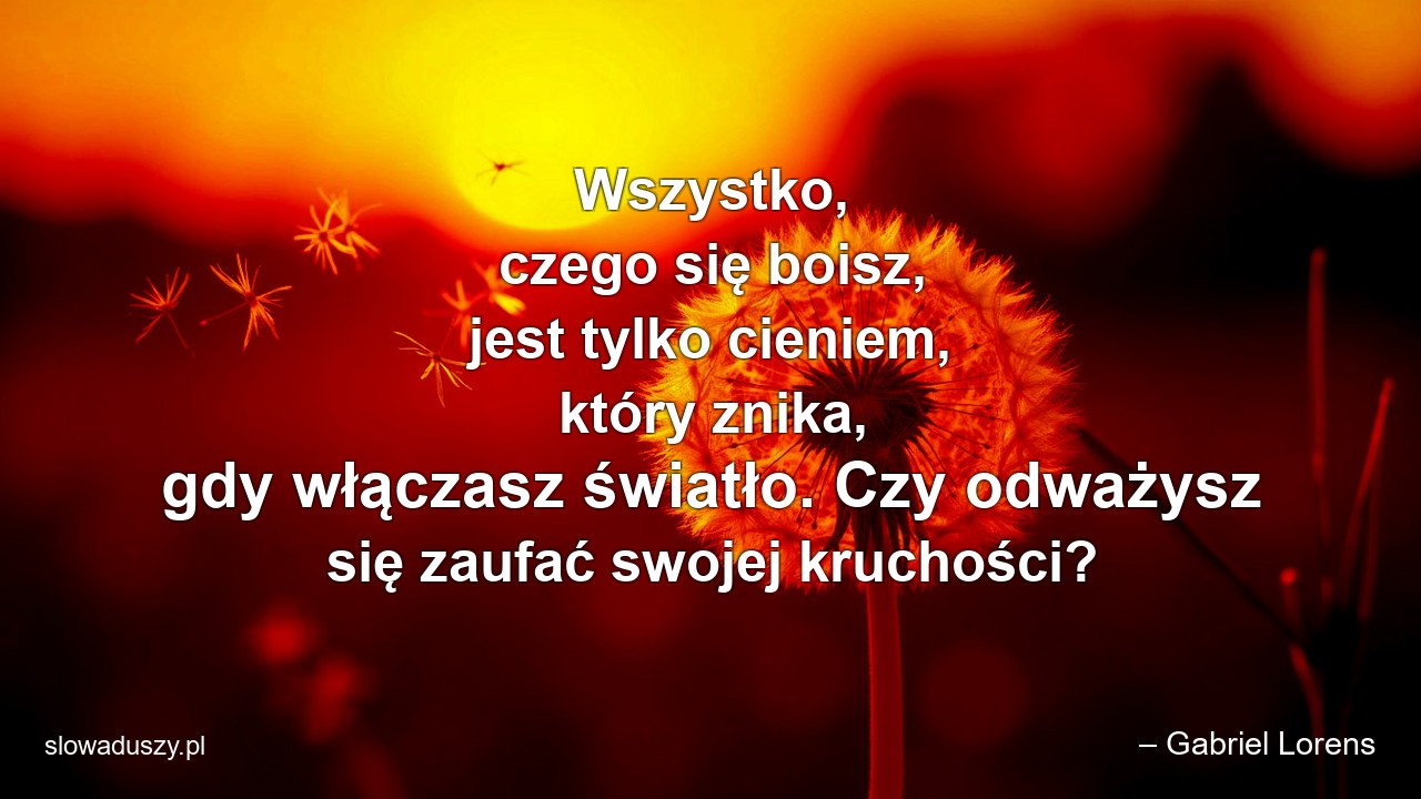 Wszystko,  czego się boisz,  jest tylko cieniem,  który znika,  gdy włączasz światło. Czy odważysz się zaufać swojej kruchości? - – Gabriel Lorens