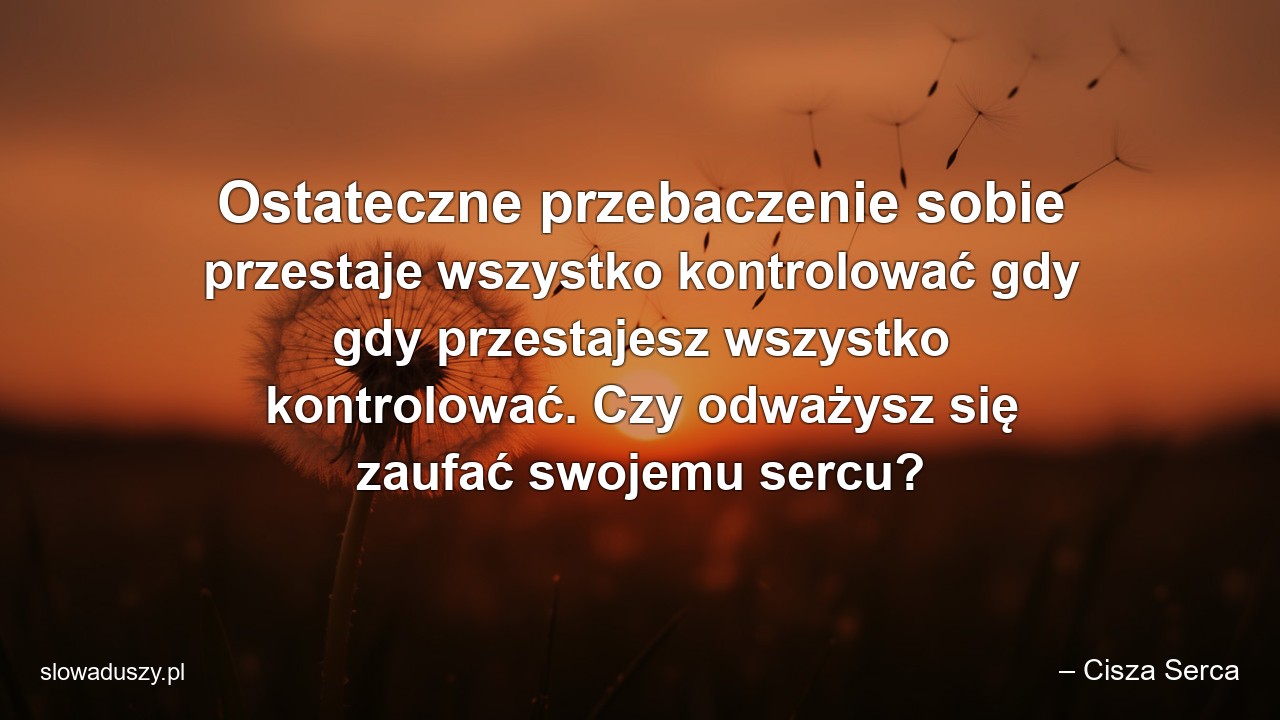 Ostateczne przebaczenie sobie przestaje wszystko kontrolować gdy gdy przestajesz wszystko kontrolować. Czy odważysz się zaufać swojemu sercu? - – Cisza Serca