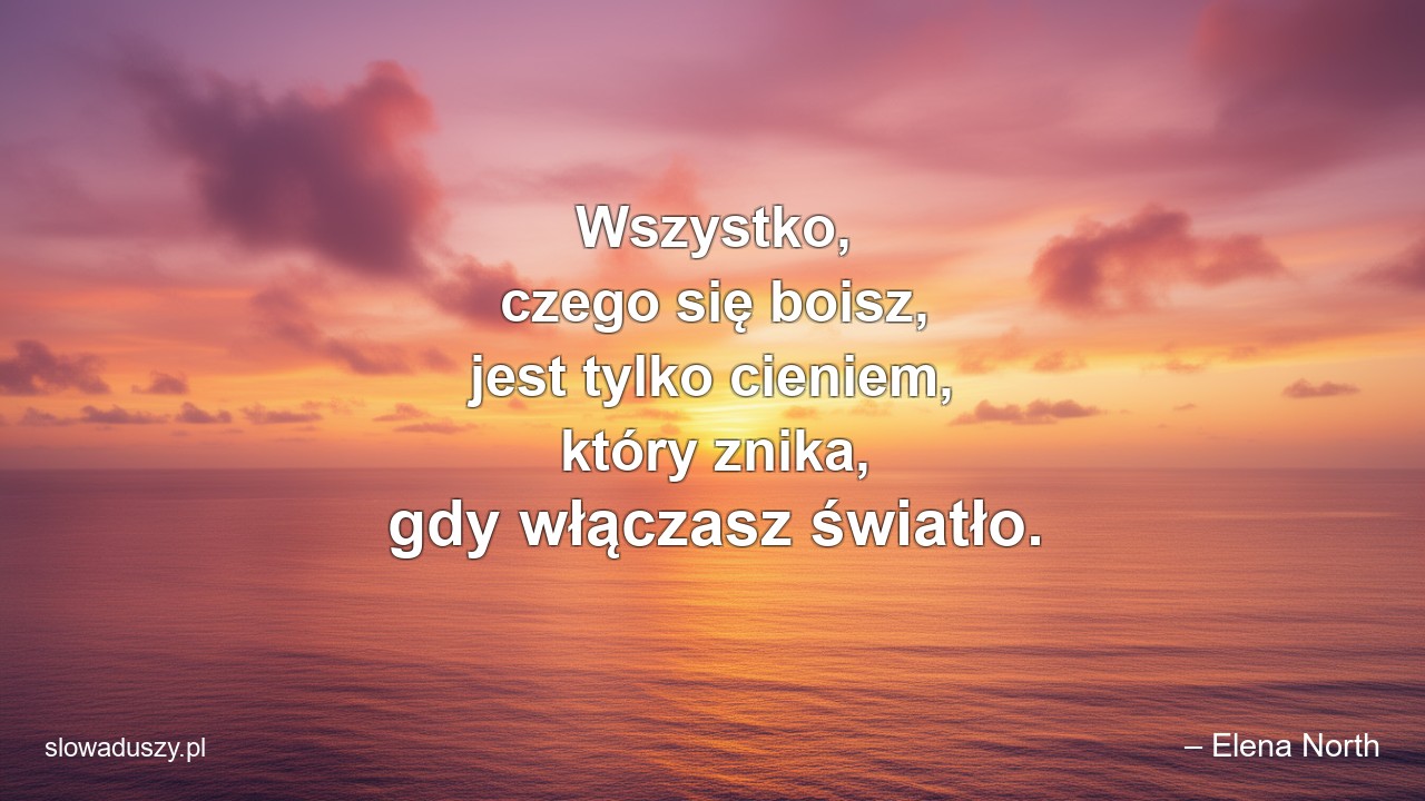 Wszystko,  czego się boisz,  jest tylko cieniem,  który znika,  gdy włączasz światło. - – Elena North