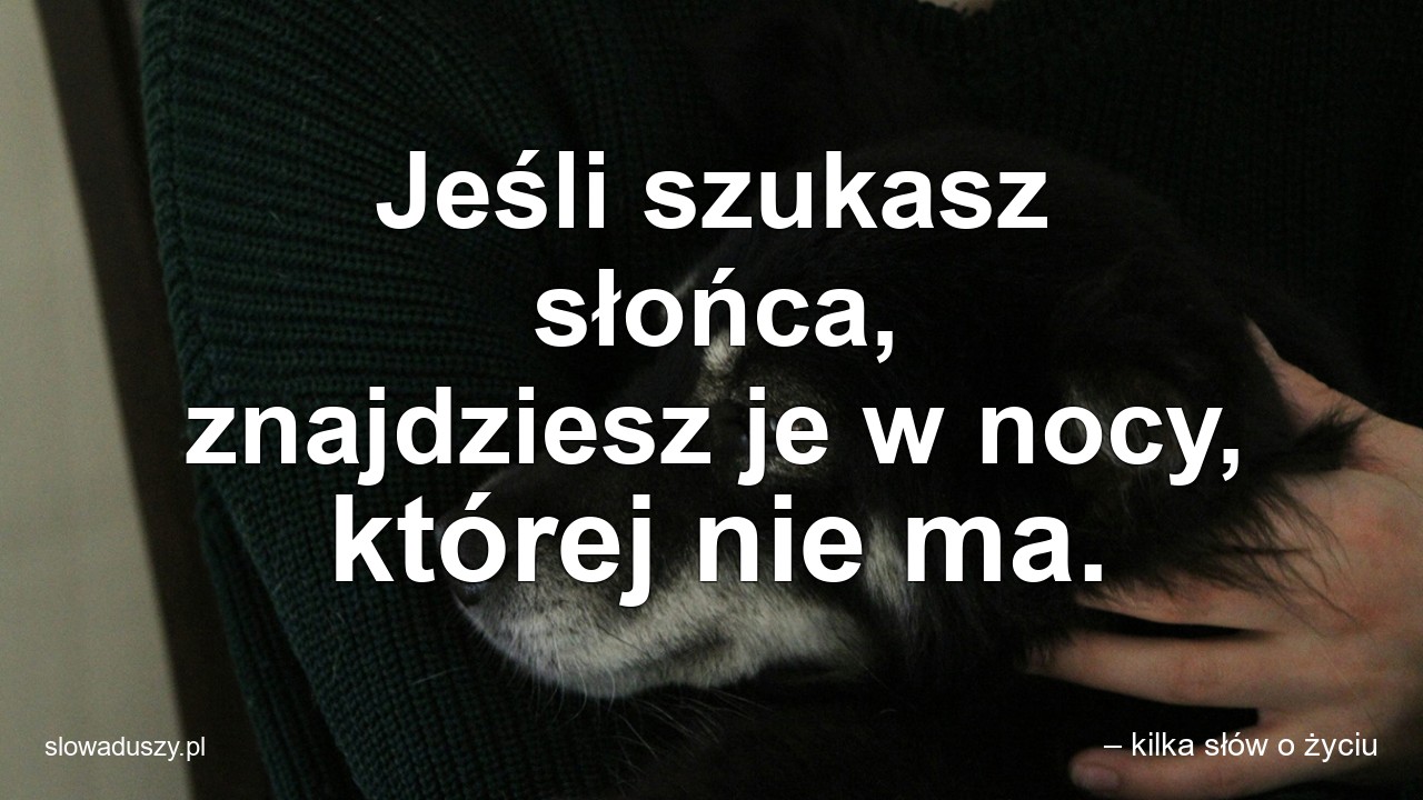 Jeśli szukasz słońca,  znajdziesz je w nocy,  której nie ma. - – kilka słów o życiu