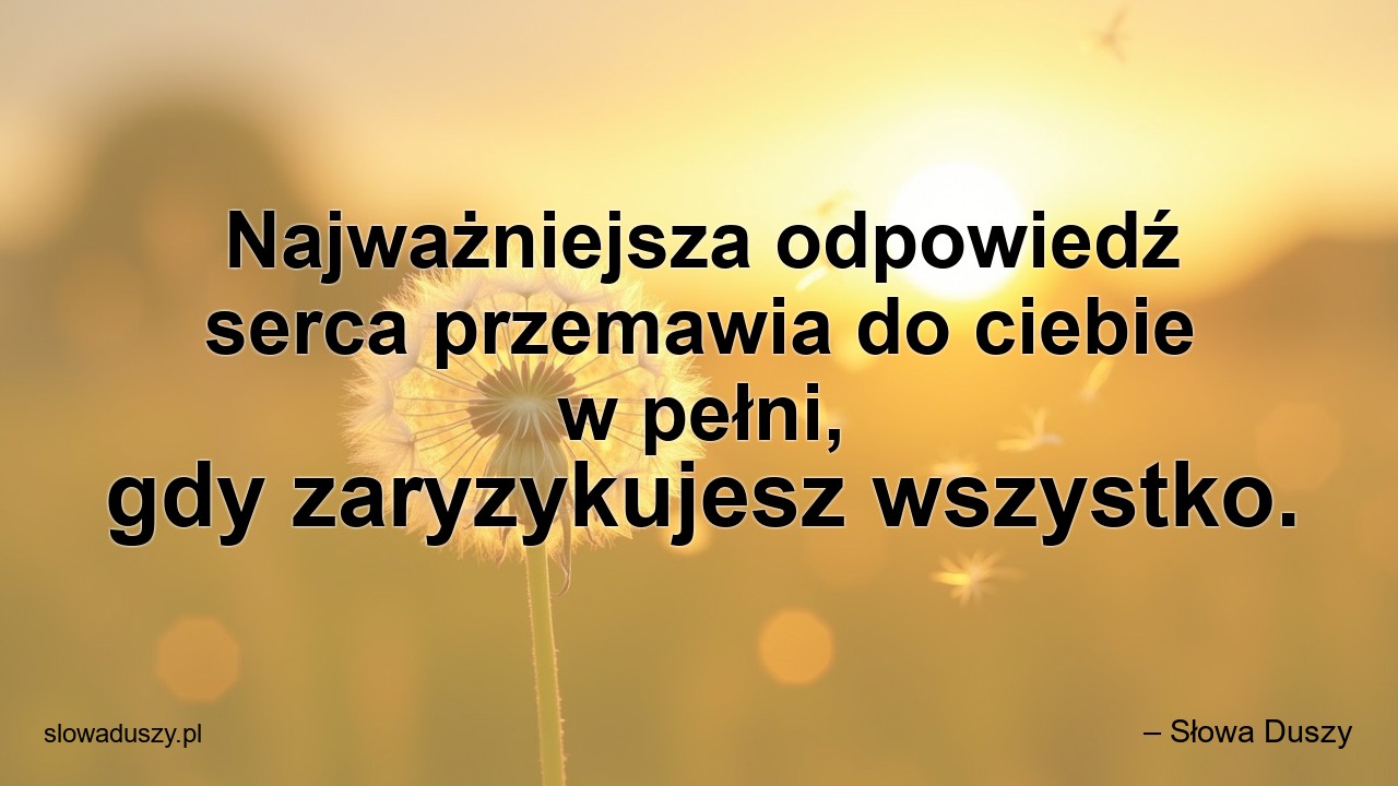 Najważniejsza odpowiedź serca przemawia do ciebie w pełni,  gdy zaryzykujesz wszystko. - – Słowa Duszy