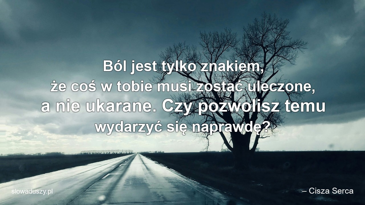 Ból jest tylko znakiem,  że coś w tobie musi zostać uleczone,  a nie ukarane. Czy pozwolisz temu wydarzyć się naprawdę? - – Cisza Serca