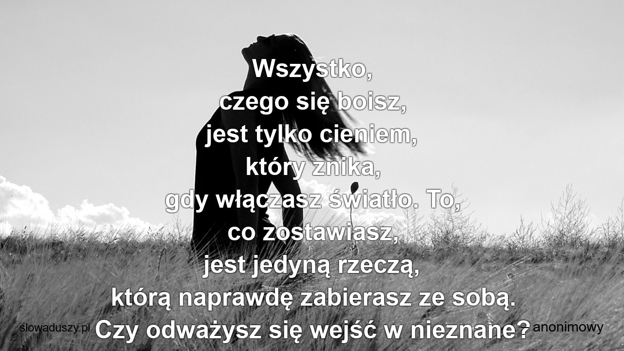 Wszystko,  czego się boisz,  jest tylko cieniem,  który znika,  gdy włączasz światło. To,  co zostawiasz,  jest jedyną rzeczą,  którą naprawdę zabierasz ze sobą. Czy odważysz się wejść w nieznane? - – anonimowy