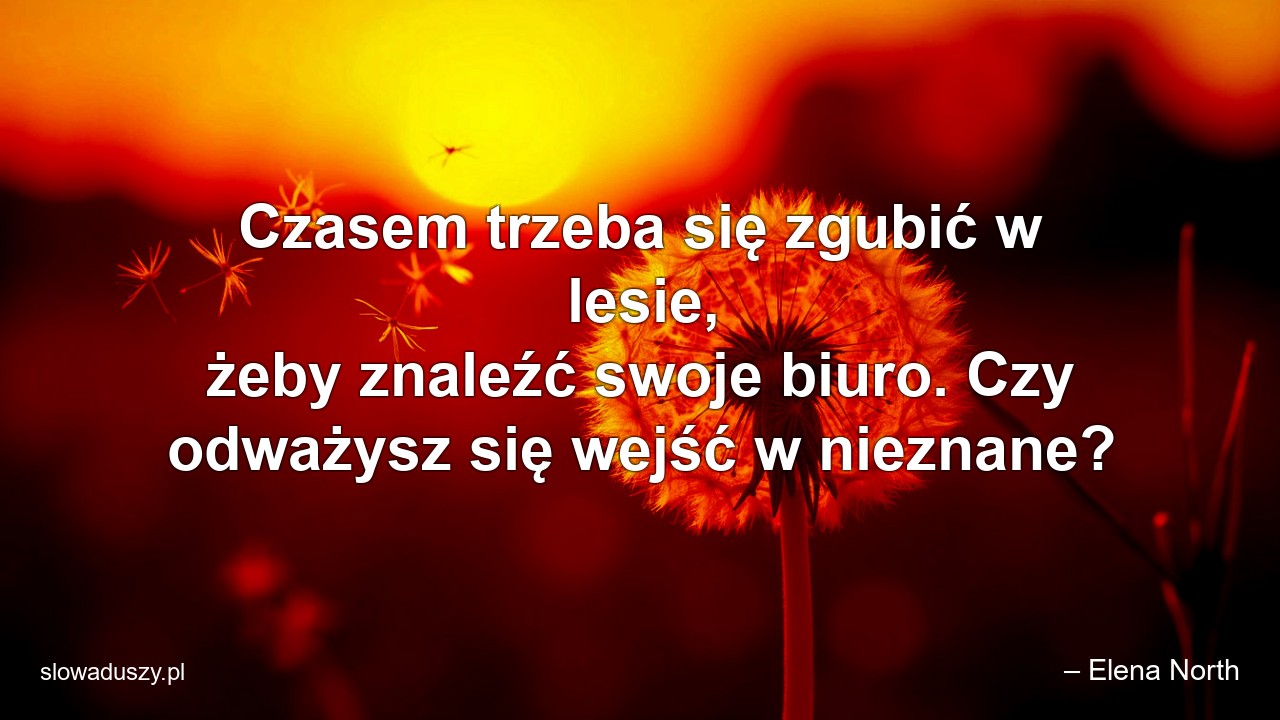 Czasem trzeba się zgubić w lesie,  żeby znaleźć swoje biuro. Czy odważysz się wejść w nieznane? - – Elena North
