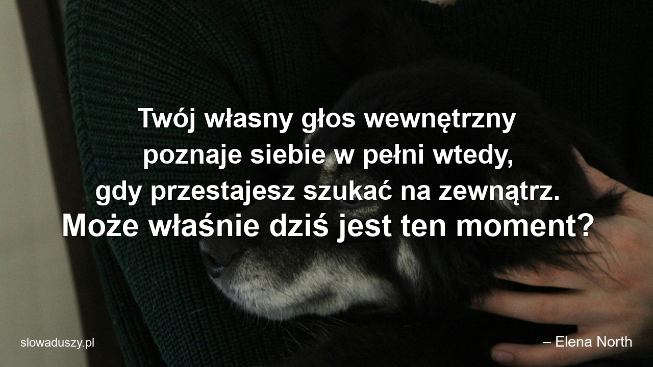 Twój własny głos wewnętrzny poznaje siebie w pełni wtedy,  gdy przestajesz szukać na zewnątrz. Może właśnie dziś jest ten moment? - – Elena North