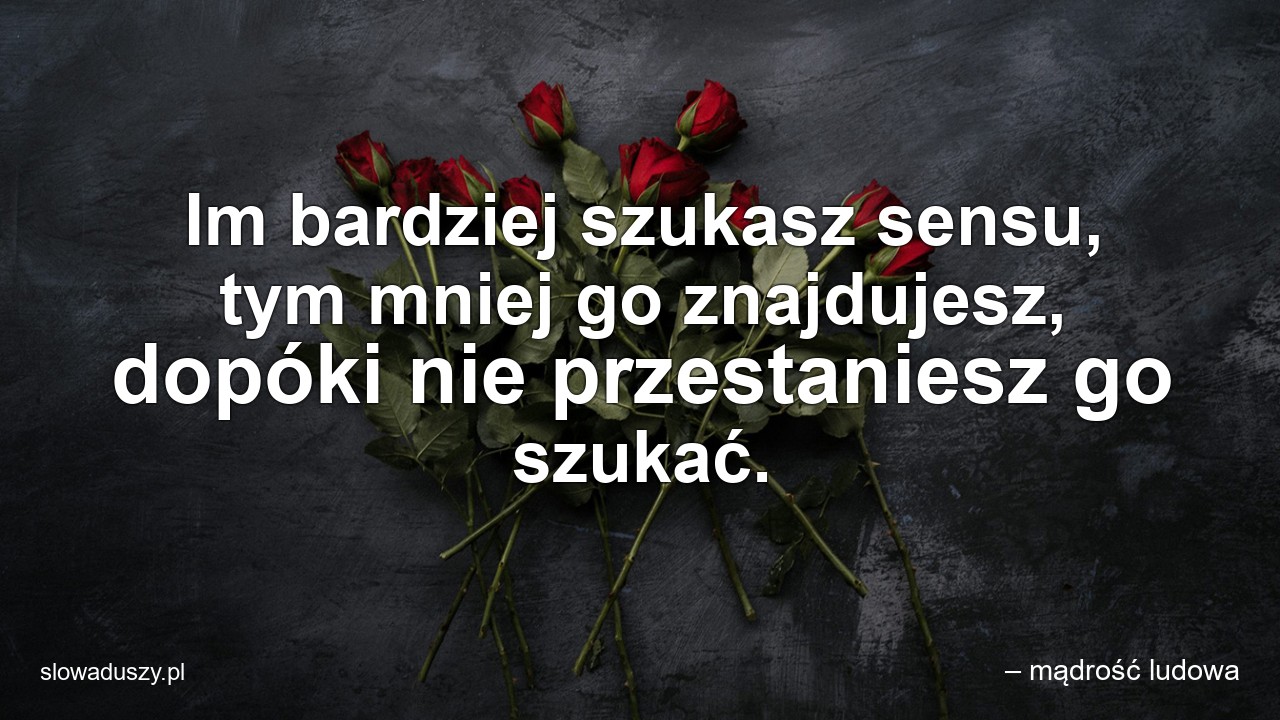 Im bardziej szukasz sensu,  tym mniej go znajdujesz,  dopóki nie przestaniesz go szukać.