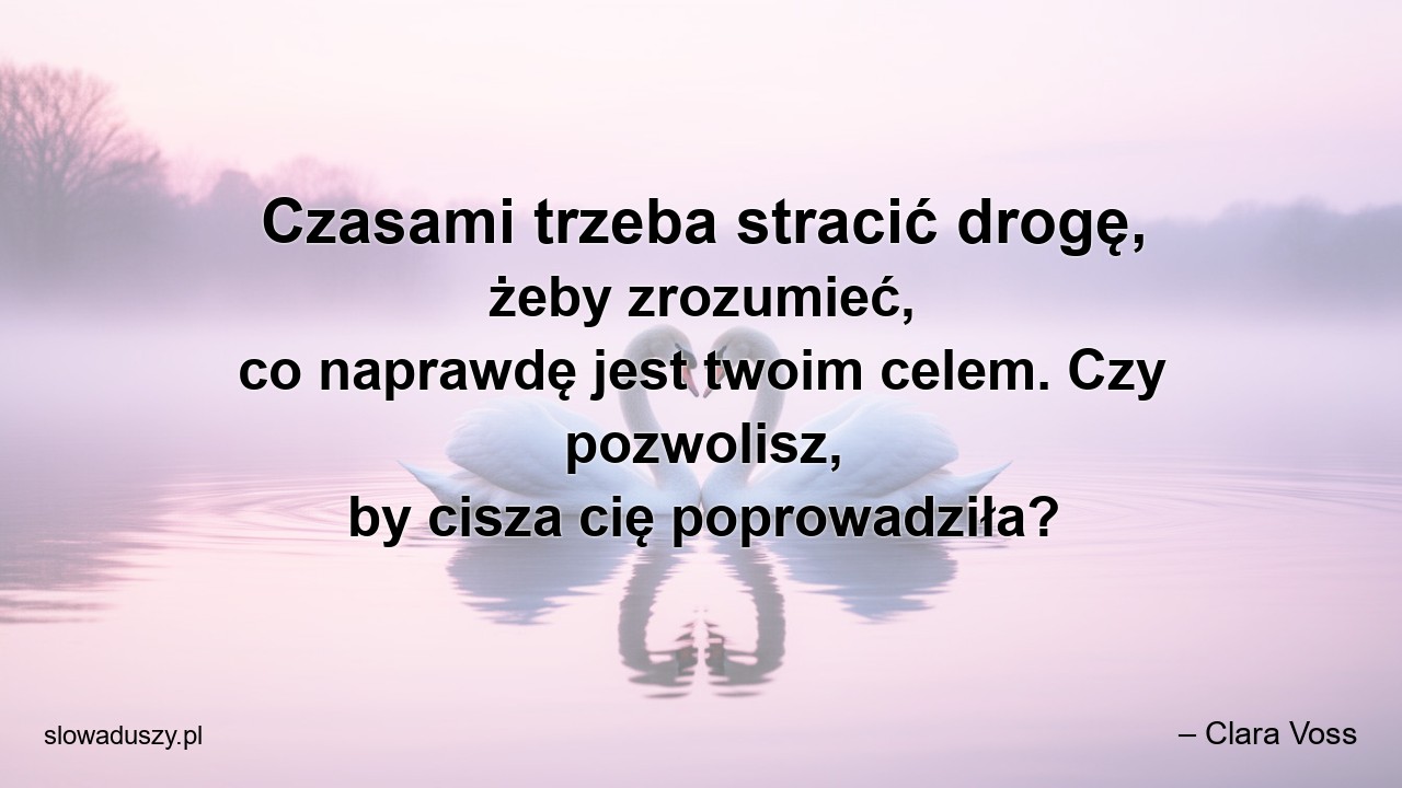 Czasami trzeba stracić drogę,  żeby zrozumieć,  co naprawdę jest twoim celem. Czy pozwolisz,  by cisza cię poprowadziła? - – Clara Voss