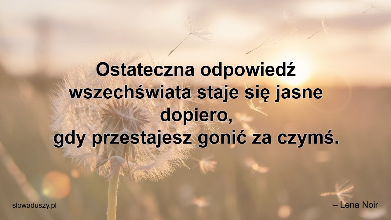 Ostateczna odpowiedź wszechświata staje się jasne dopiero,  gdy przestajesz gonić za czymś. - – Lena Noir