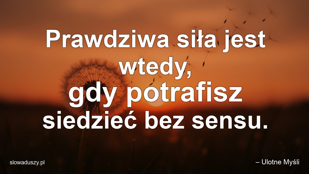 Prawdziwa siła jest wtedy,  gdy potrafisz siedzieć bez sensu.