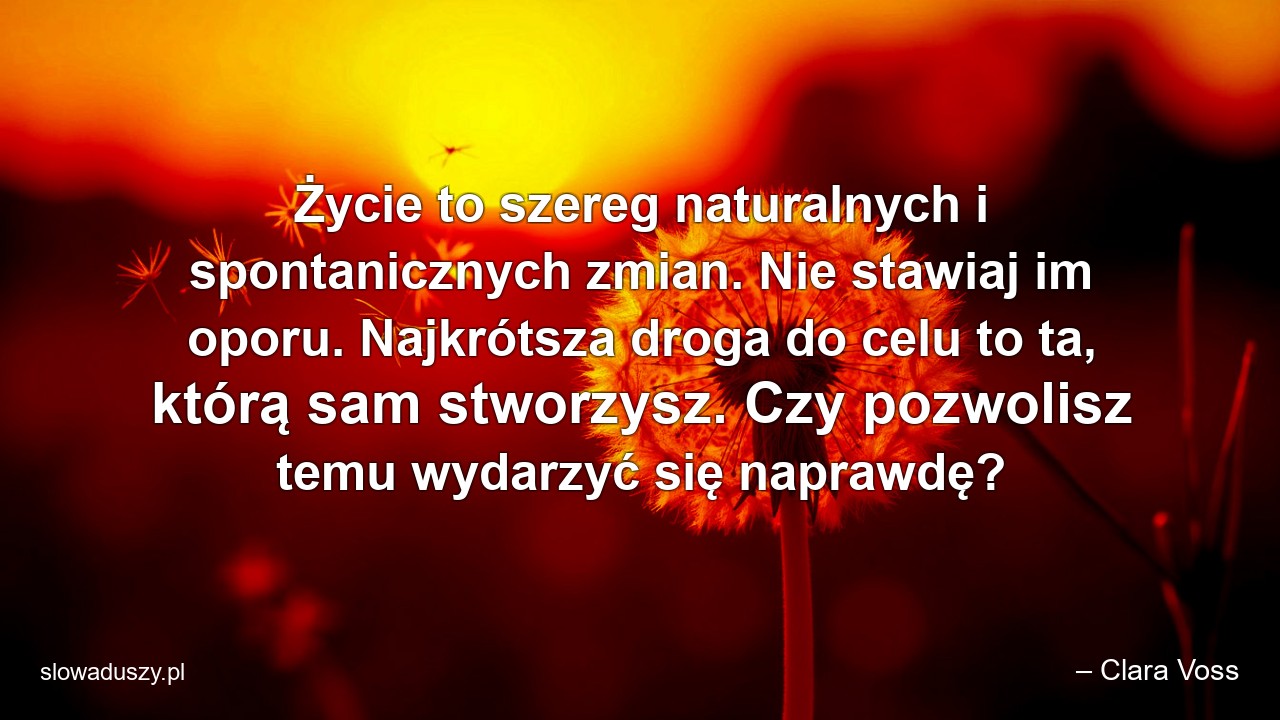 Życie to szereg naturalnych i spontanicznych zmian. Nie stawiaj im oporu. Najkrótsza droga do celu to ta,  którą sam stworzysz. Czy pozwolisz temu wydarzyć się naprawdę?