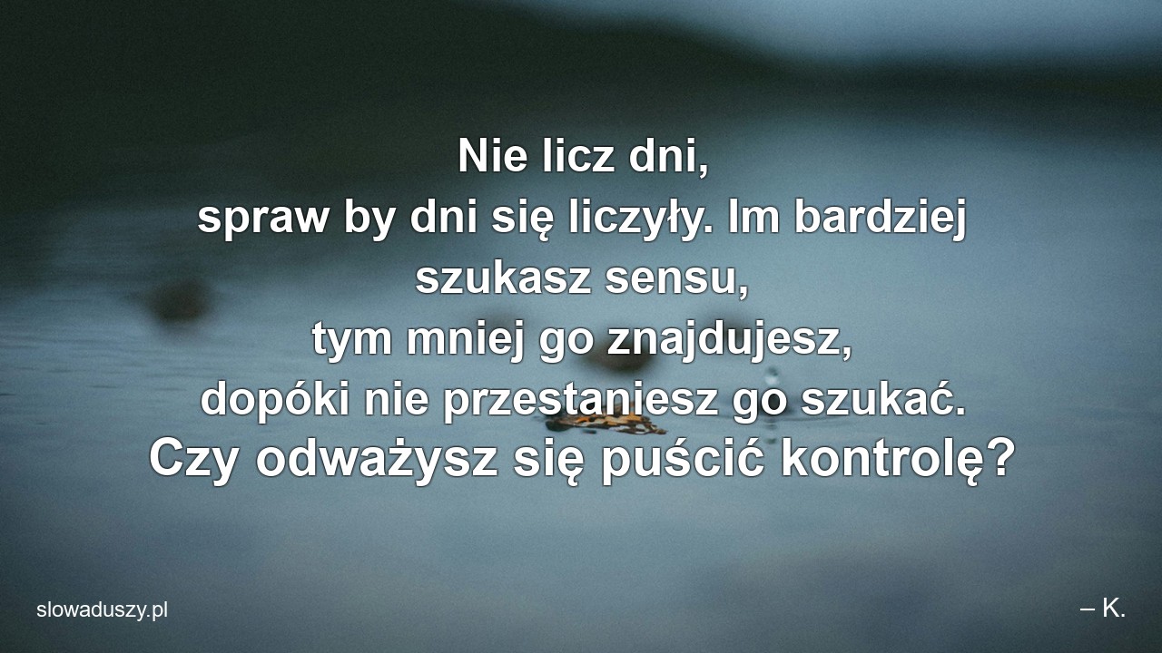 Nie licz dni,  spraw by dni się liczyły. Im bardziej szukasz sensu,  tym mniej go znajdujesz,  dopóki nie przestaniesz go szukać. Czy odważysz się puścić kontrolę?