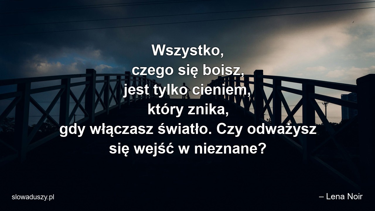 Wszystko,  czego się boisz,  jest tylko cieniem,  który znika,  gdy włączasz światło. Czy odważysz się wejść w nieznane?