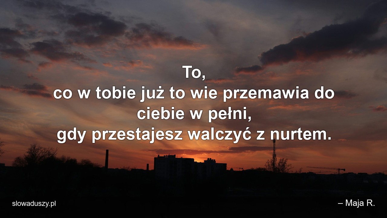 To,  co w tobie już to wie przemawia do ciebie w pełni,  gdy przestajesz walczyć z nurtem. - – Maja R.