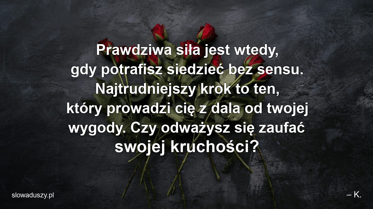 Prawdziwa siła jest wtedy,  gdy potrafisz siedzieć bez sensu. Najtrudniejszy krok to ten,  który prowadzi cię z dala od twojej wygody. Czy odważysz się zaufać swojej kruchości? - – K.