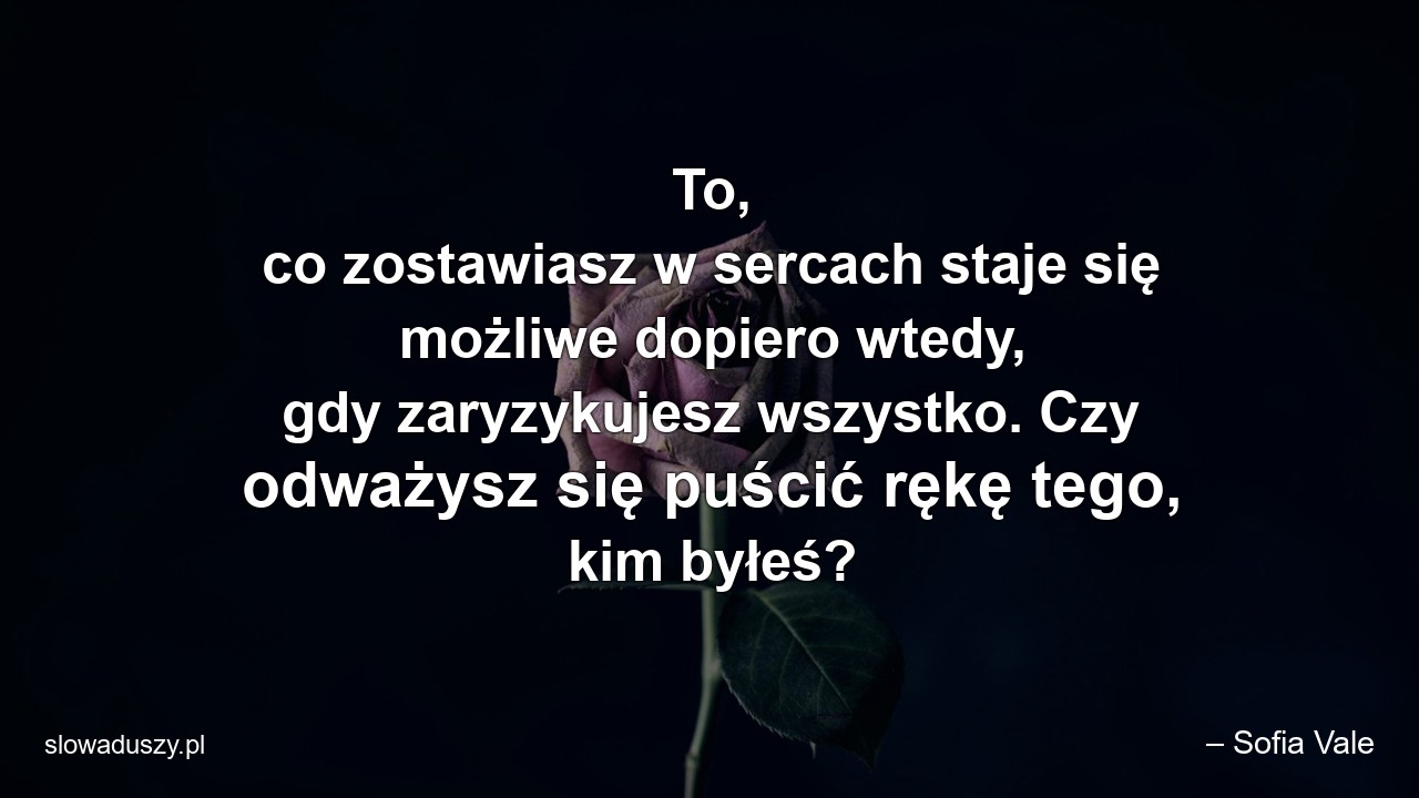To,  co zostawiasz w sercach staje się możliwe dopiero wtedy,  gdy zaryzykujesz wszystko. Czy odważysz się puścić rękę tego,  kim byłeś? - – Sofia Vale