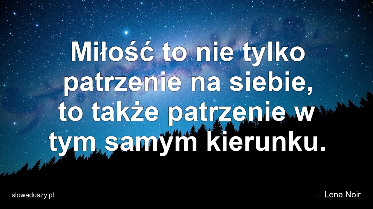 Miłość to nie tylko patrzenie na siebie,  to także patrzenie w tym samym kierunku. - – Lena Noir