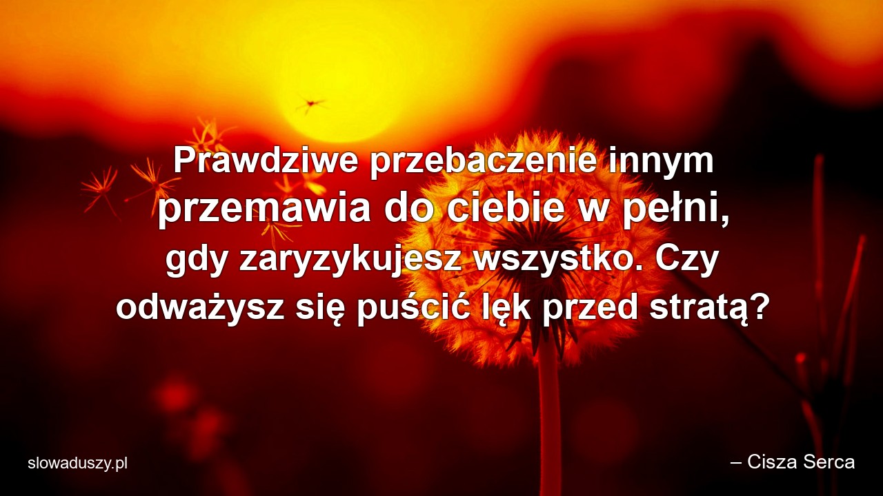 Prawdziwe przebaczenie innym przemawia do ciebie w pełni,  gdy zaryzykujesz wszystko. Czy odważysz się puścić lęk przed stratą? - – Cisza Serca
