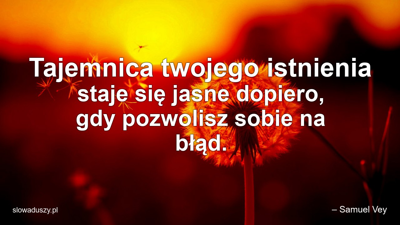 Tajemnica twojego istnienia staje się jasne dopiero,  gdy pozwolisz sobie na błąd. - – Samuel Vey